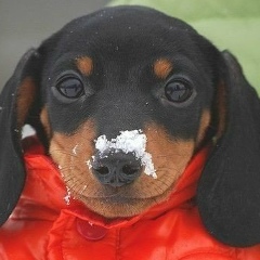 Ніна Зінчук