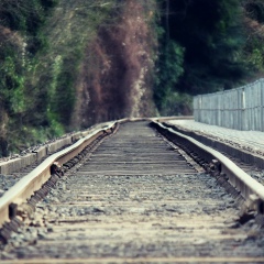 Yuliya Agarysheva, Алматы