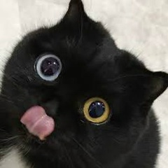 Olya Bakunova, 27.01.1990