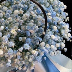 Диана Жанбасарова, 25.08, Костанай