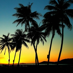 Владислав Шелков, 22.03.2003, Москва