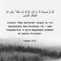Валид Керимов, 12.08, Medina