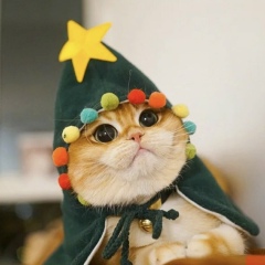 Филипп Флореско, 12.04, Санкт-Петербург