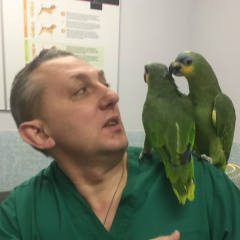 Владимир Чугуевский, 19.11, Щербинка