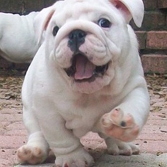 Muslim Djanaraliev, 28.03.1996, Урус-Мартан