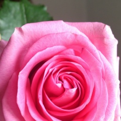 Гульмина Музапарова, 17.07.1987, Алматы