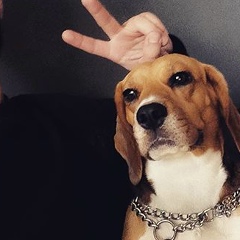 Илья Яковлев, 27.08, Санкт-Петербург