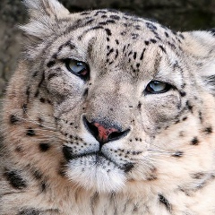 Виктор Косинов, 28.11, Орёл