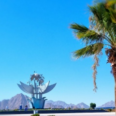 Дмитрий Доронин, 07.03.1988