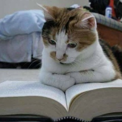 Hantu Malaya, 01.09.1990, New York City