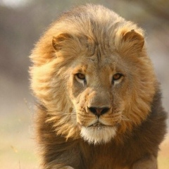 Виталий Яр, 21.08, Москва