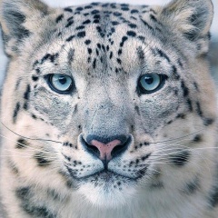 Назар Я, 14.04, Новосибирск