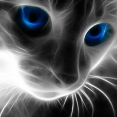 Polik Юшин, 12.02, Москва