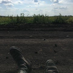 Вадим Решетников, Ржев