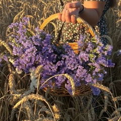 Наталья Демешева