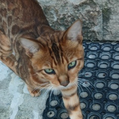 Павел Дорожкин, 23.09, Москва