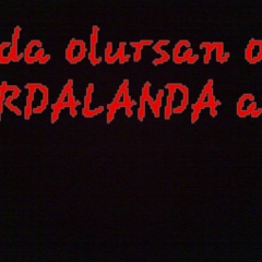 Эмиль Ибадов, Баку