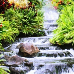 Arzu Karakuc, 25.07.1994, Köln