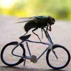 Иван Иванов, 07.07.1984, Москва