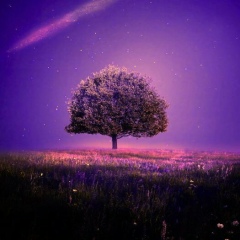 Алексей Олегович