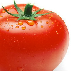 Владислав Исаков, 02.10, Санкт-Петербург