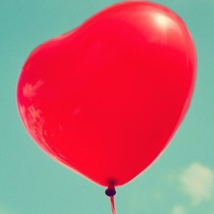 Дмитрий Белоусов, 13.05, Запорожье