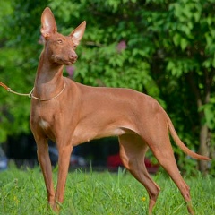 Екатерина Климова(Шульга), 22.06, Санкт-Петербург