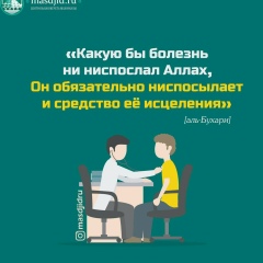 Катя Волкова, Владимир