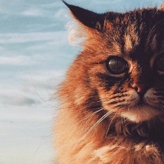 Евгения Кикина, 29.12, Караганда