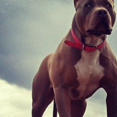 Kazbek Satmagambetov, 03.12, Караганда