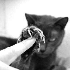 Александр Москвин, 01.12.1997