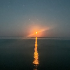 Омаров ..., 16.03.1991, Каспийск