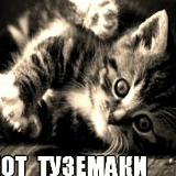 Кирилл Пелевин