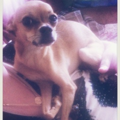 Любовь Таушканова, 26.10.1957, Москва