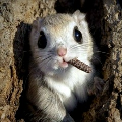 Александр За