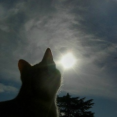 Акмарал Серикбай, 01.11.1999, Алматы