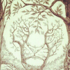 Жека Jexxon, 05.12.1985, Макеевка