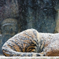 Асель Елубаева, 27.04, Астана