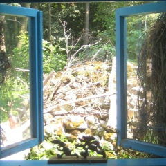 Iryna Shymkova, 21.01.1983, Киев