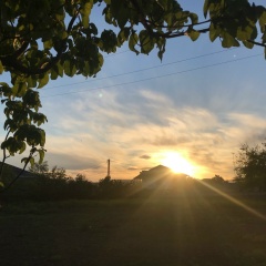 Айнур Багирова, 31.07.1992, Харьков