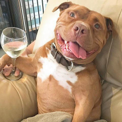 Слава Дементьев, 25.04.1991