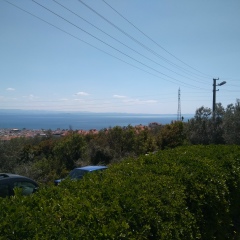 Osman Kaya, 05.04.1985, Balıkesir