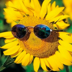 Ерназар Утешев, 30.04.1988, Алматы