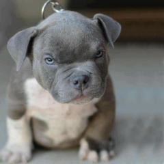 Паша Губарев, 12.11.1992, Черновцы