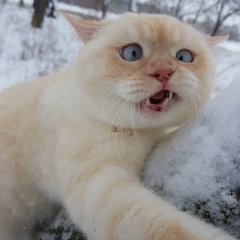 Ирина Кузикова, 02.07, Курск