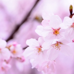 Елена Рудакова, 08.08, Санкт-Петербург