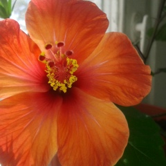 Наталья Акжанова, 11.10.1979, Байконур