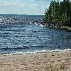 Aleksandr Fedorovich