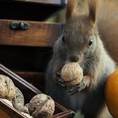 Анна Маркова, 13.09.1989