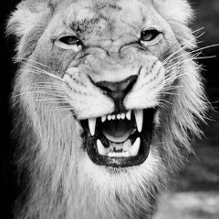 Аслан Борец, 12.09, Москва